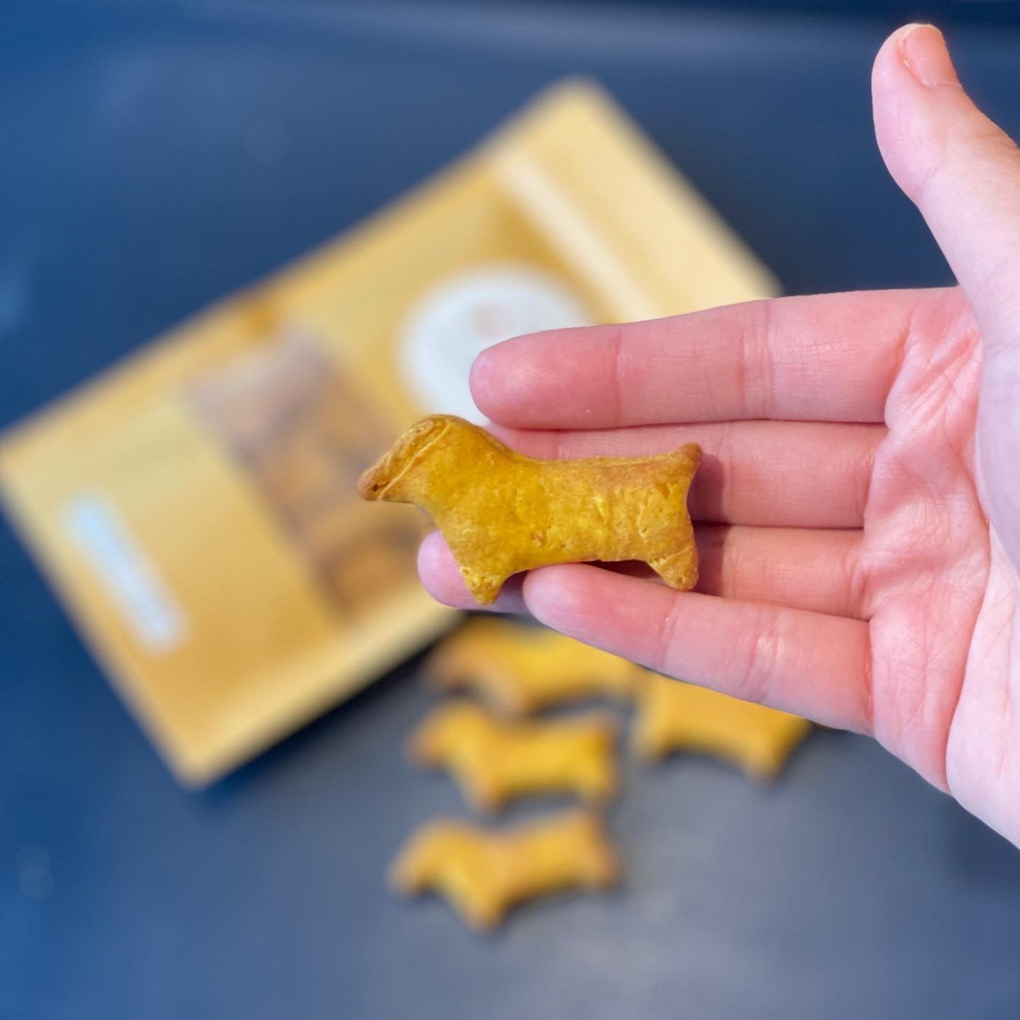 Dog Cookies