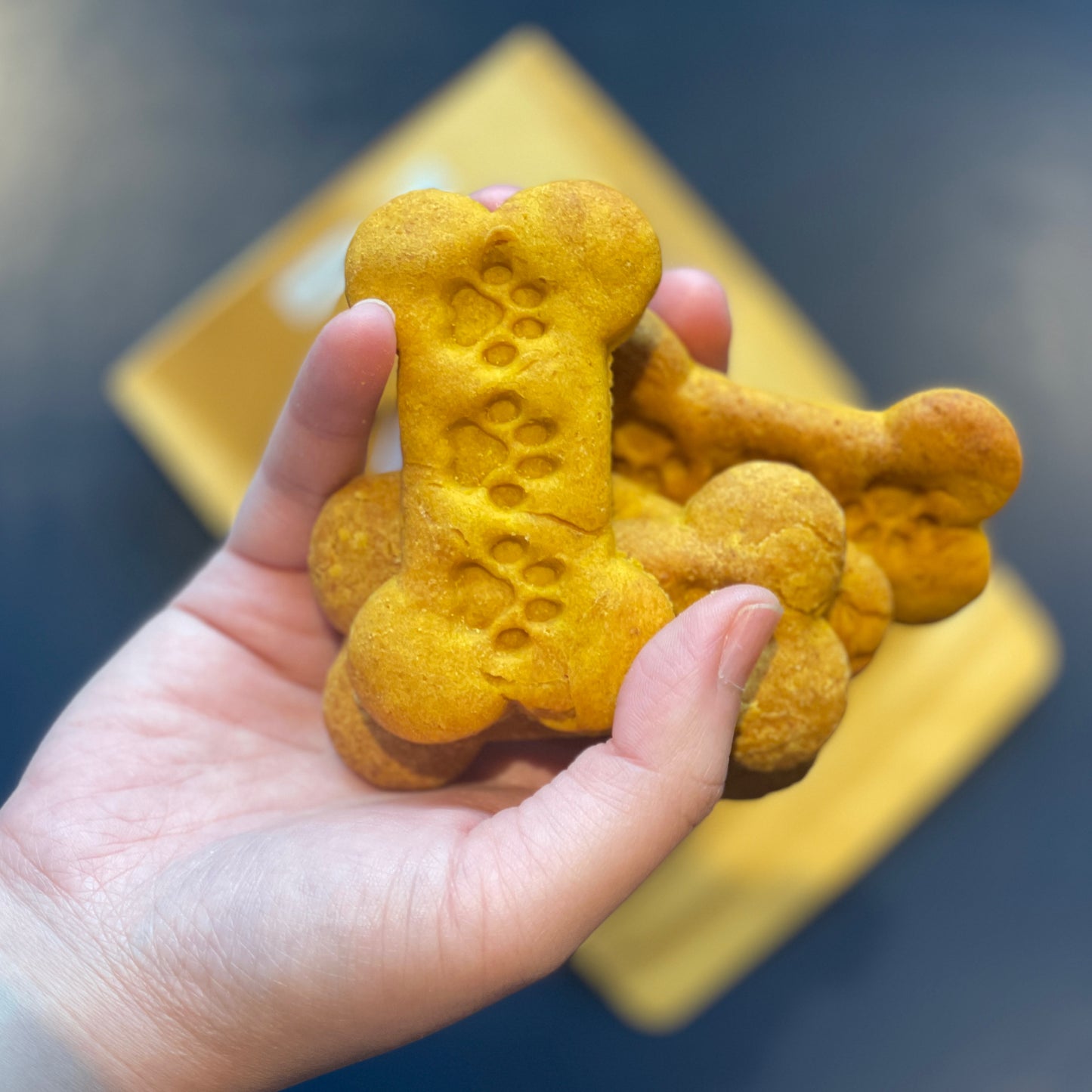Dog Cookies