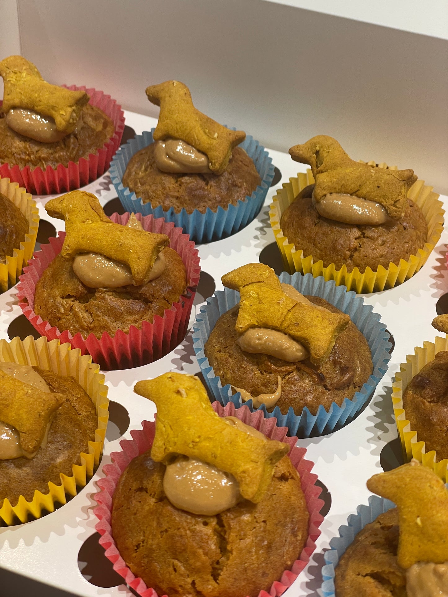 Dog Cupcakes