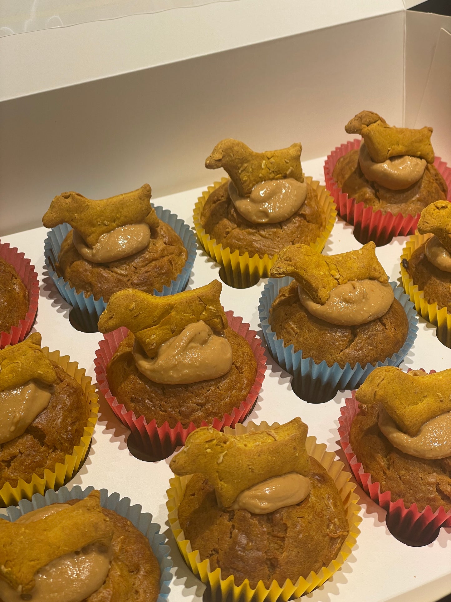 Dog Cupcakes | Pet-Friendly Carrot Cake Treats