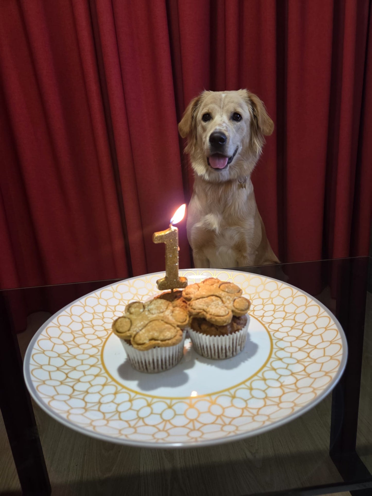 Dog Cupcakes
