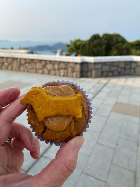 Dog Cupcakes | Pet-Friendly Carrot Cake Treats