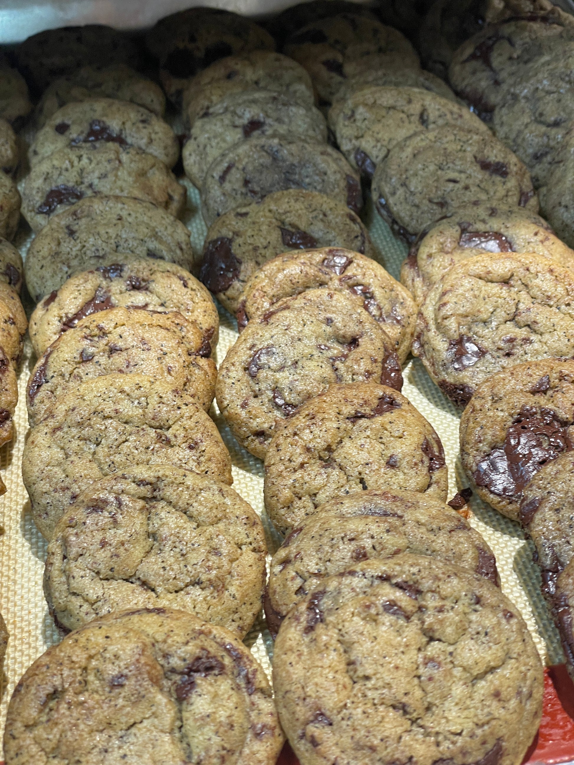 Mini Espresso Cookies | Bite-Sized Coffee Treats